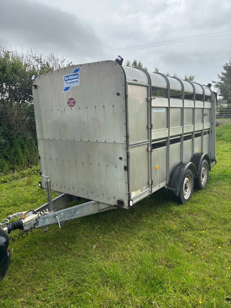 Ifor Williams 12x6 cattle box - Image 1