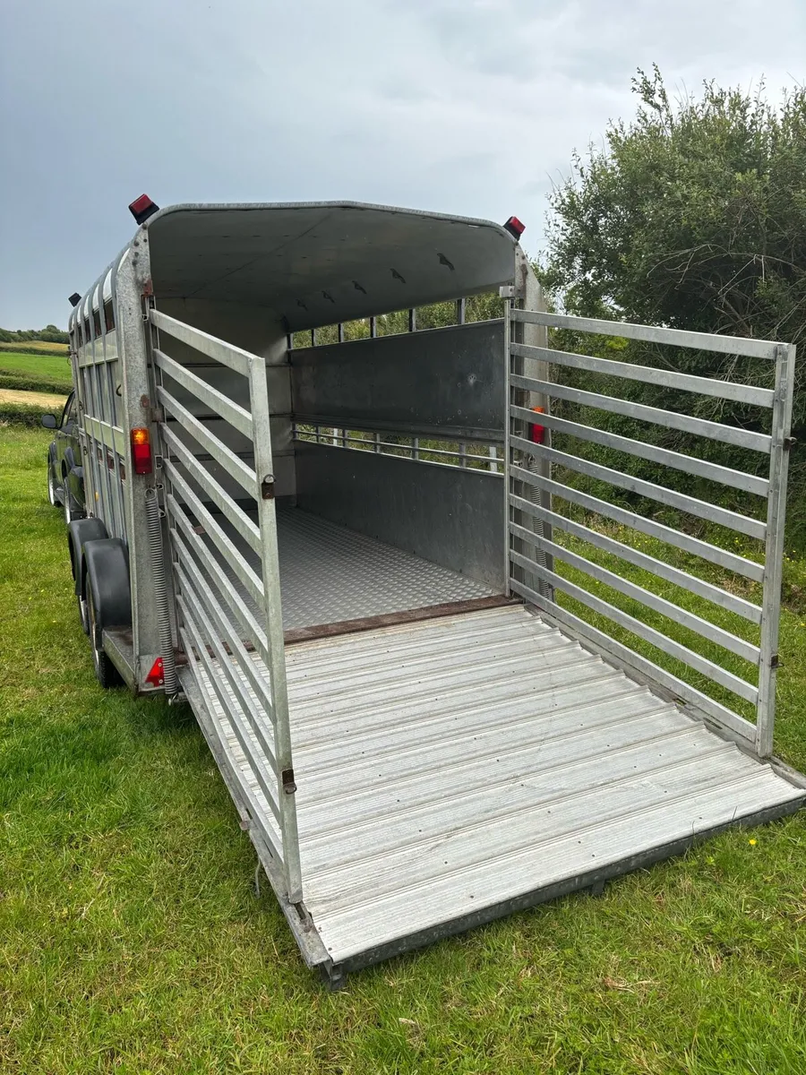 Ifor Williams 12x6 cattle box - Image 3