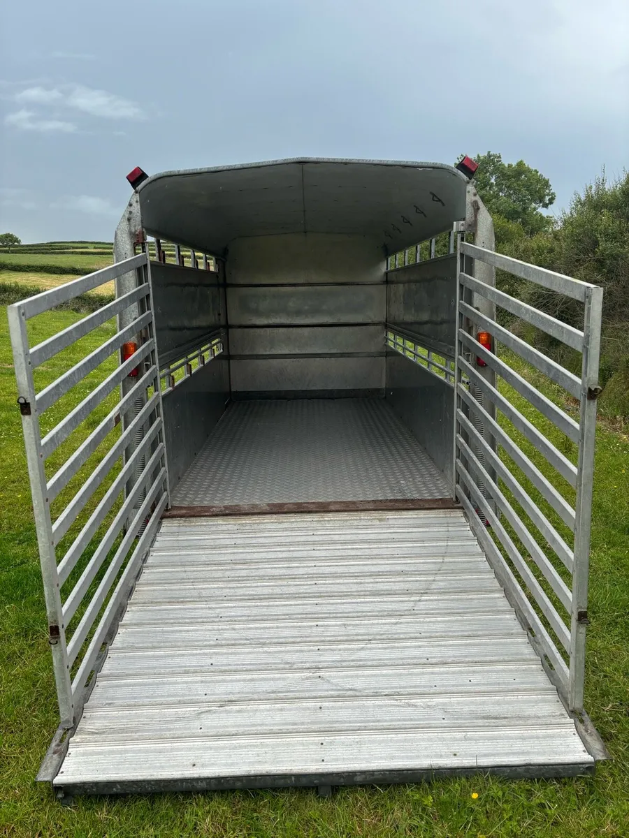 Ifor Williams 12x6 cattle box - Image 4