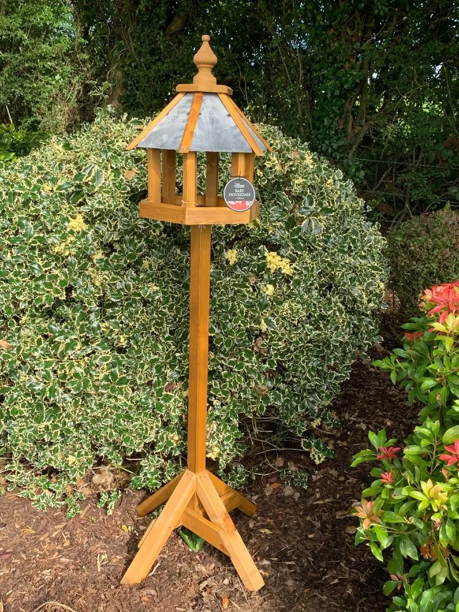 Bird House & Dovecotes - Image 3