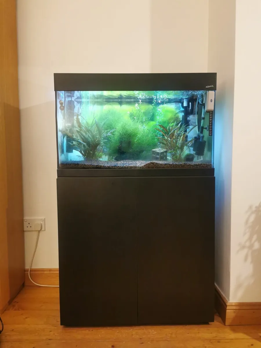 Aquarium - Image 2