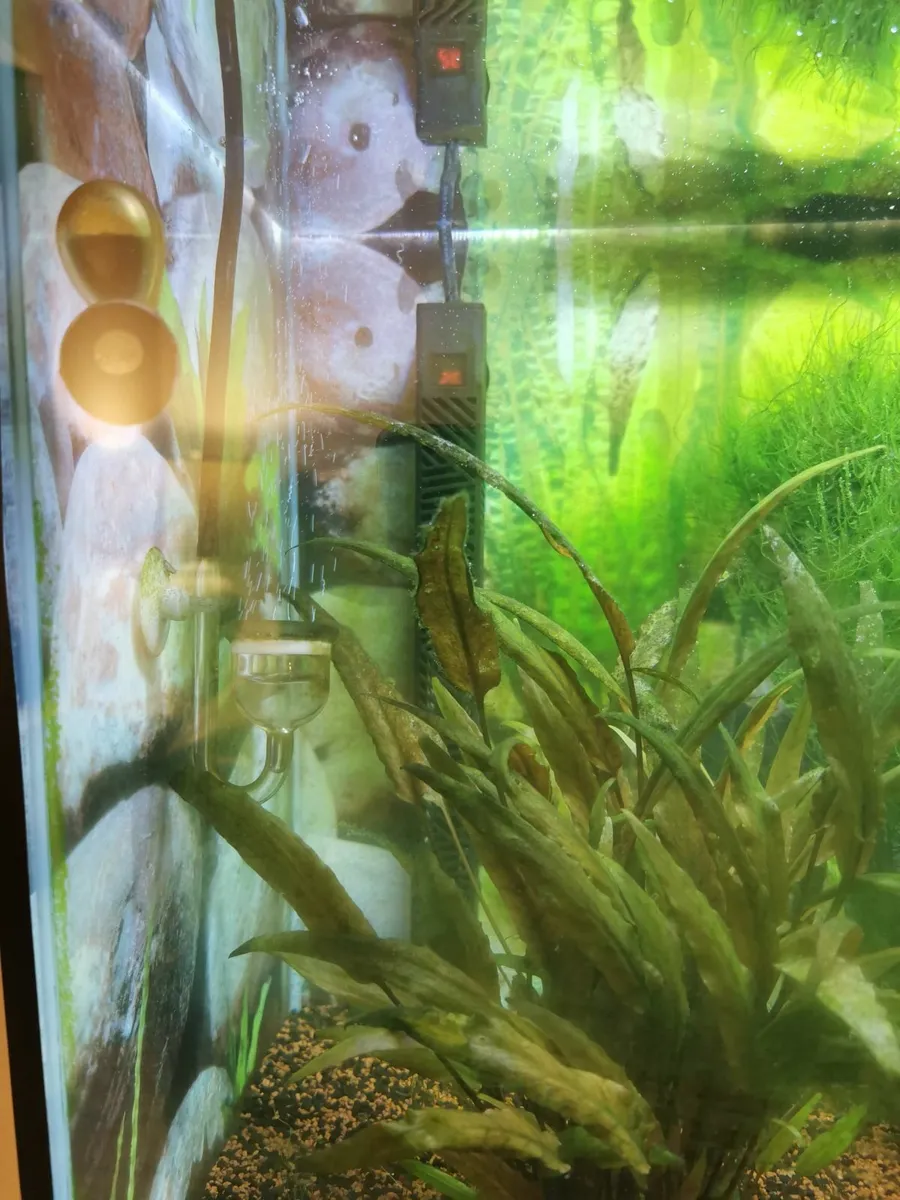 Aquarium - Image 4