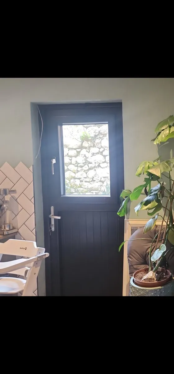 Back Door and window - Image 1