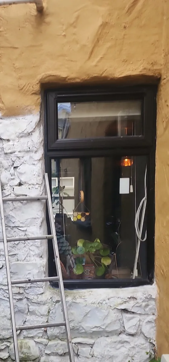 Back Door and window - Image 2