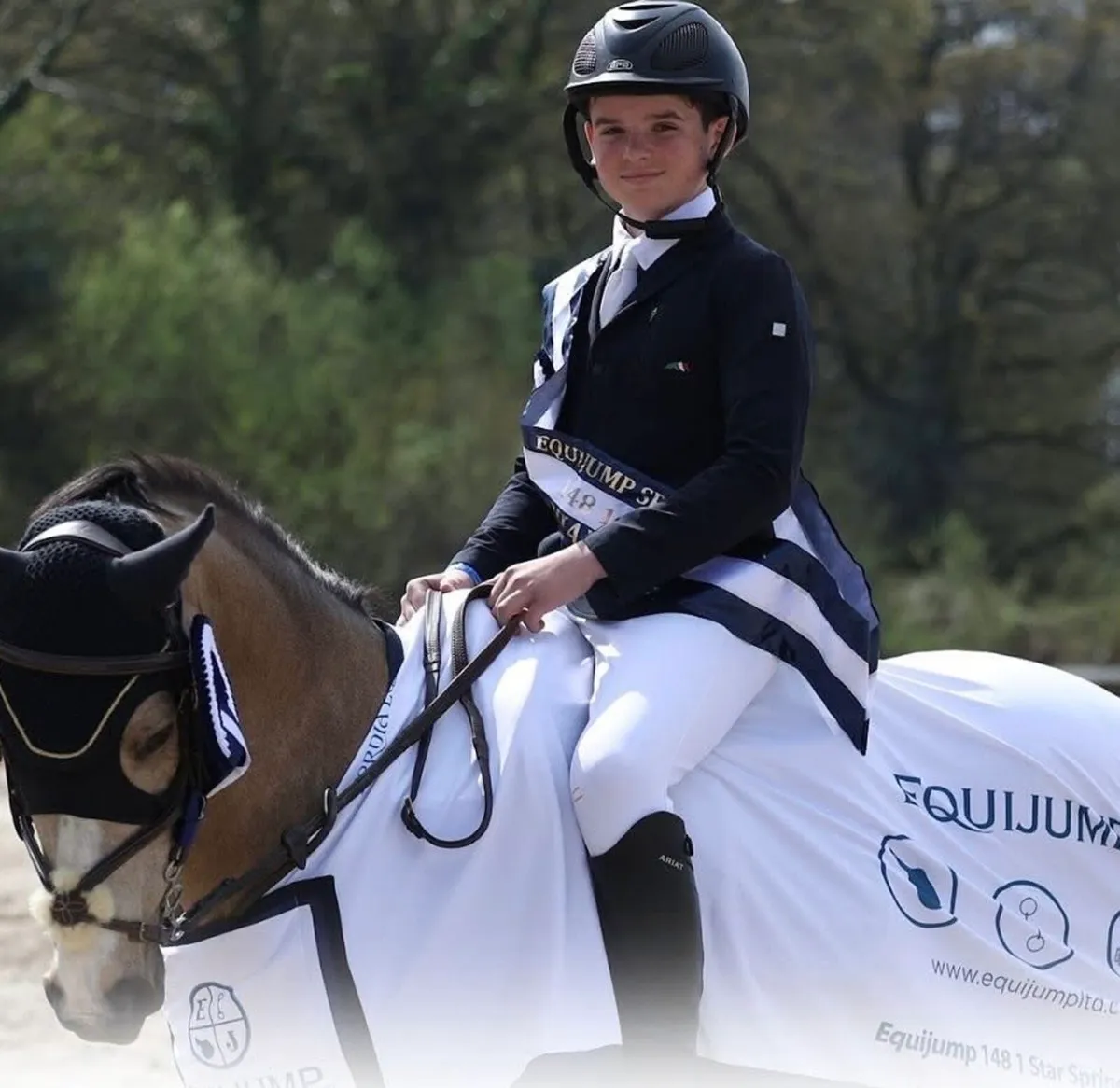 148cm Grade A pony - Image 1