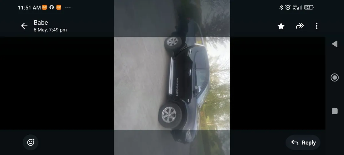 L200 - Image 3