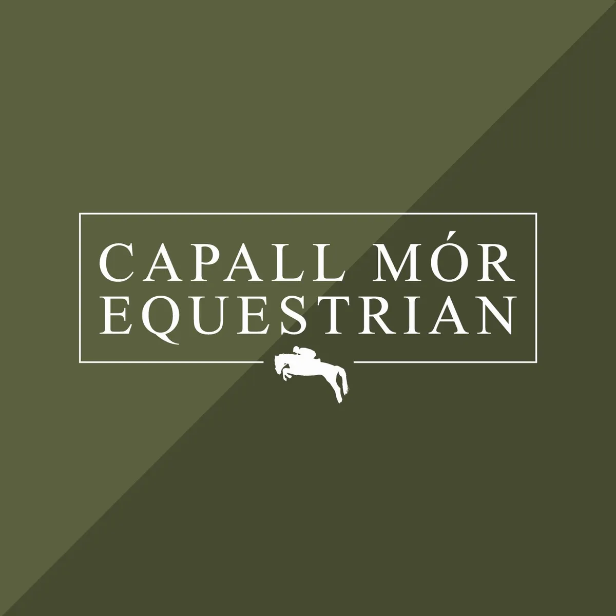 Horse Breaking at Capall Mór Equestrian - Image 1