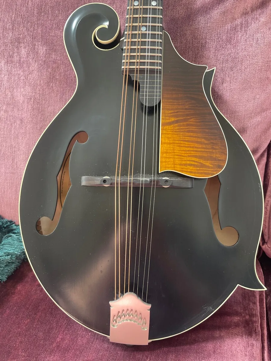 F style mandolin - Image 2