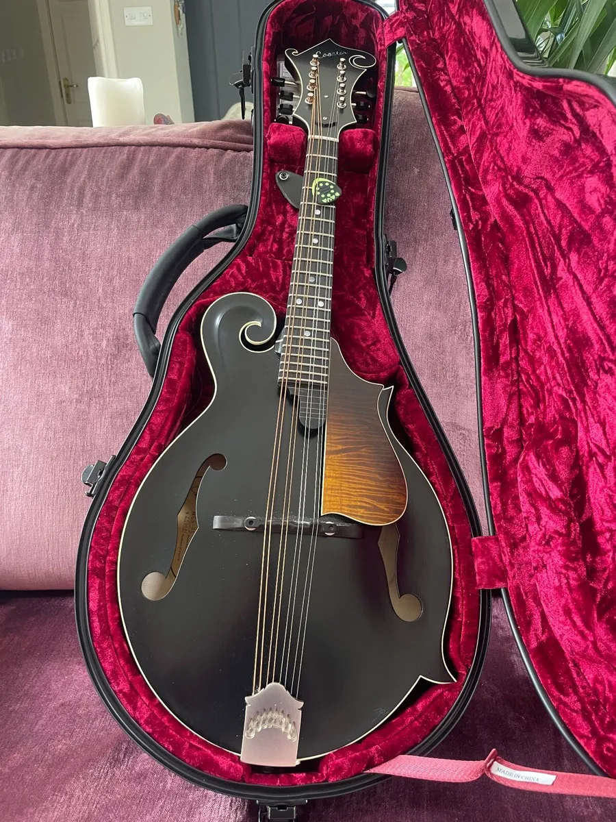 F style mandolin - Image 3