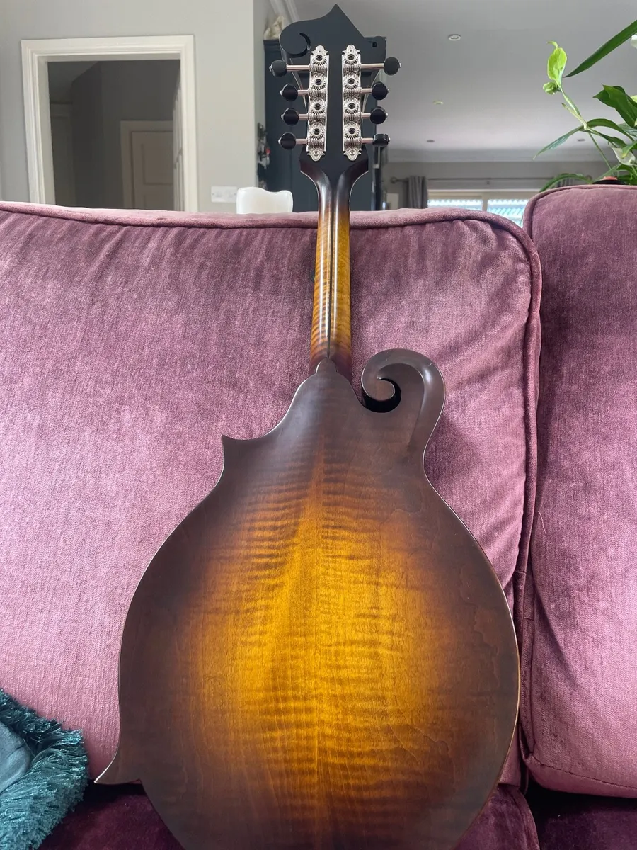F style mandolin - Image 4