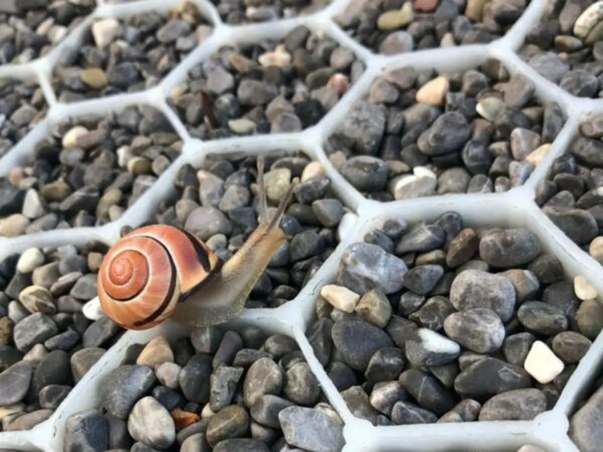 Gravel Grid  perfect solution for your drives - Image 1