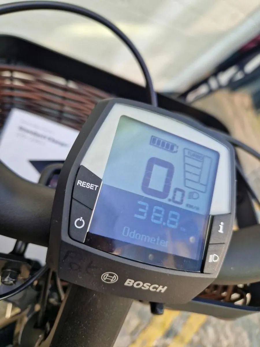 Riese & Muller Swing Silent ebike - Image 2