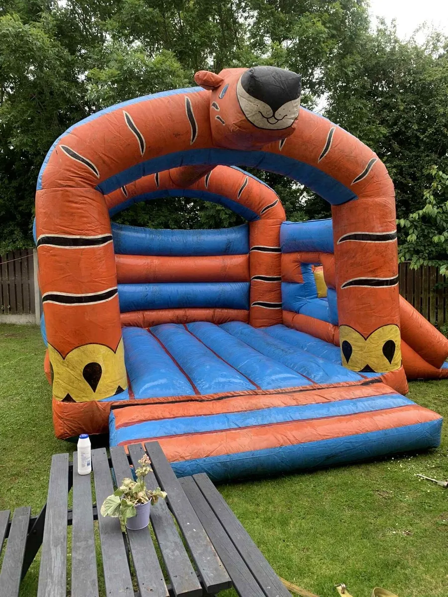 Bouncy castle - Image 1