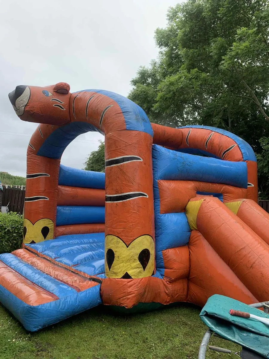 Bouncy castle - Image 2