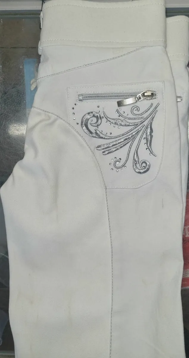 TAGG Jodhpurs - Image 4