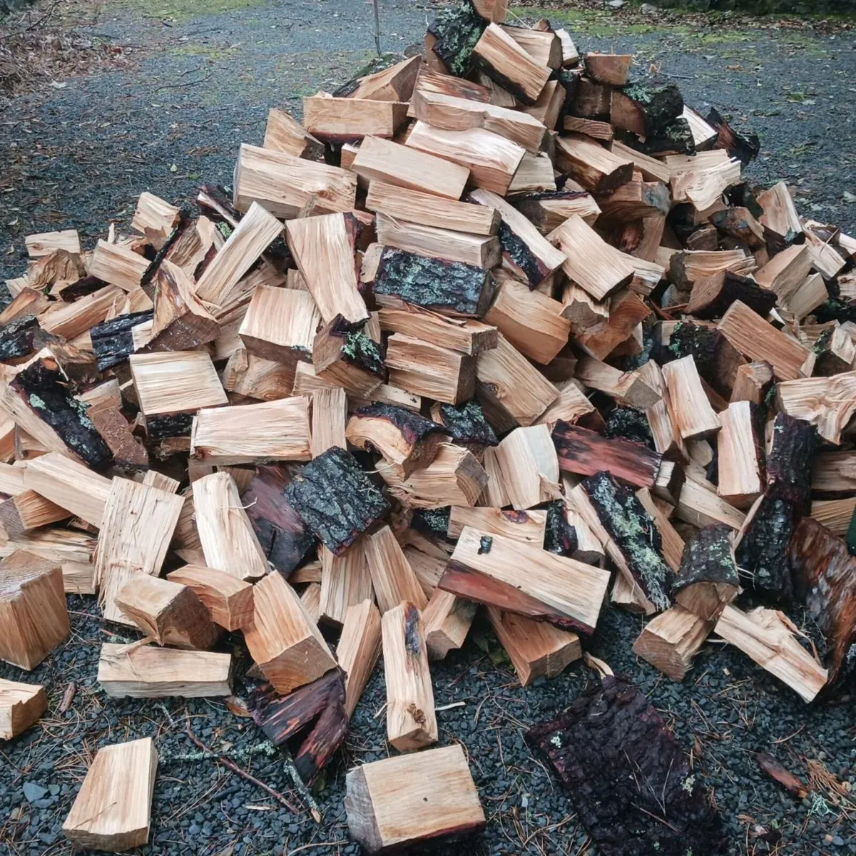 Fire wood - Image 2