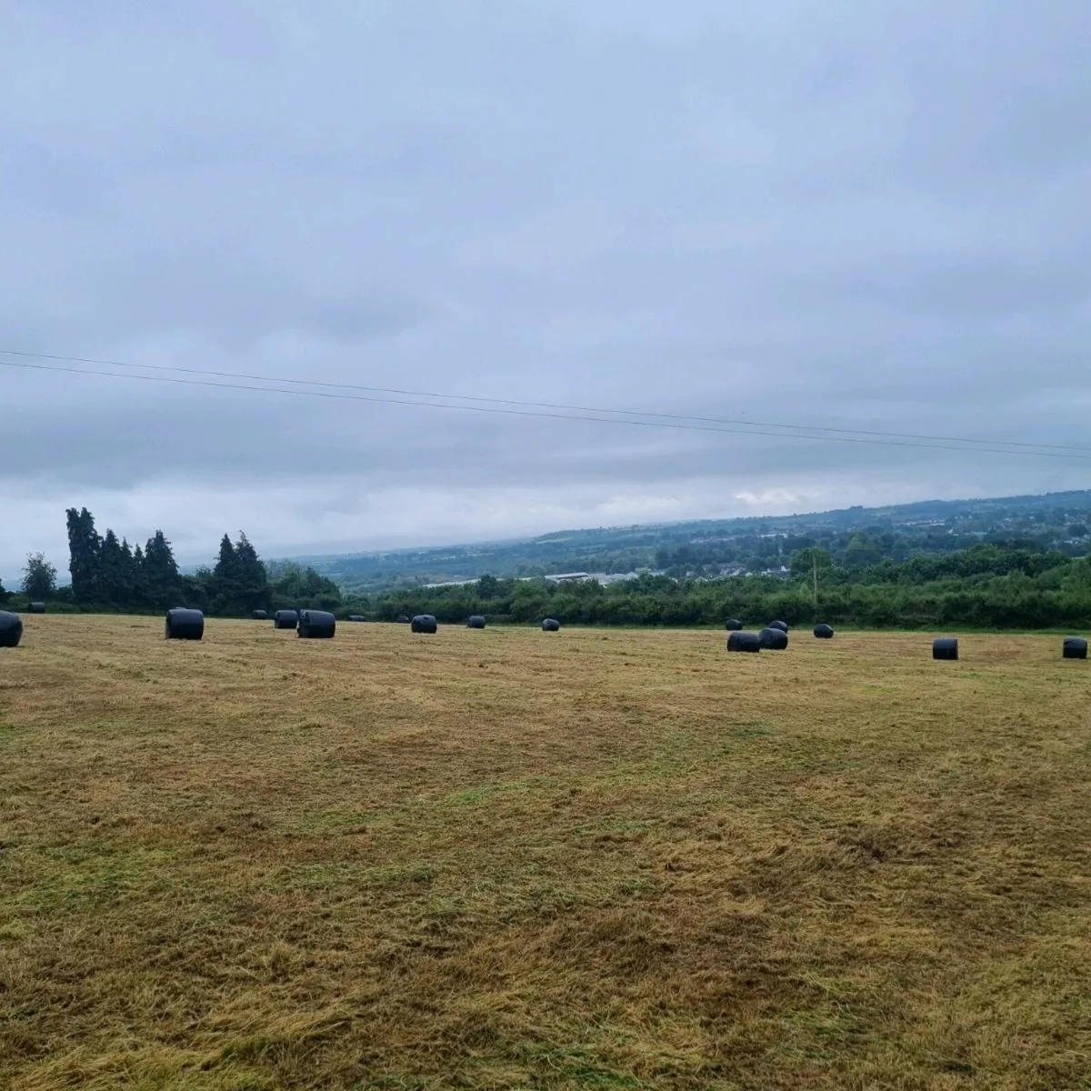 30 round bales of 2025 silage - Image 1