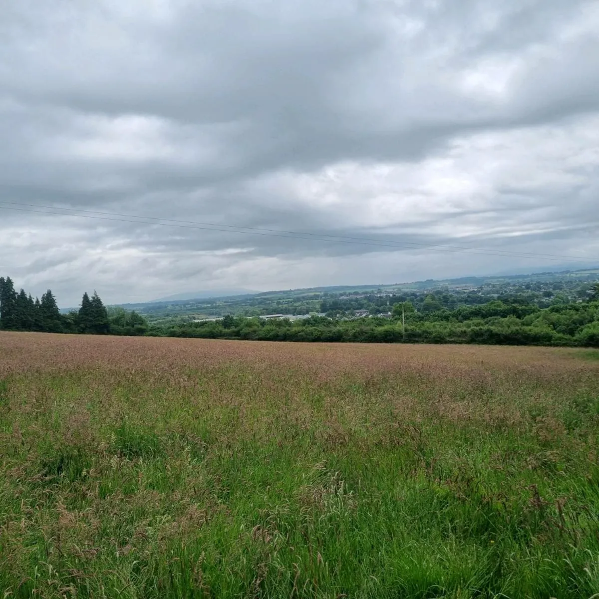 30 round bales of 2025 silage - Image 2