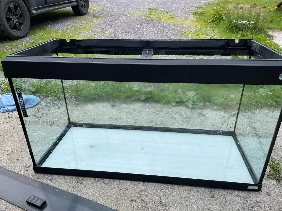 250L tank for sale - Image 1
