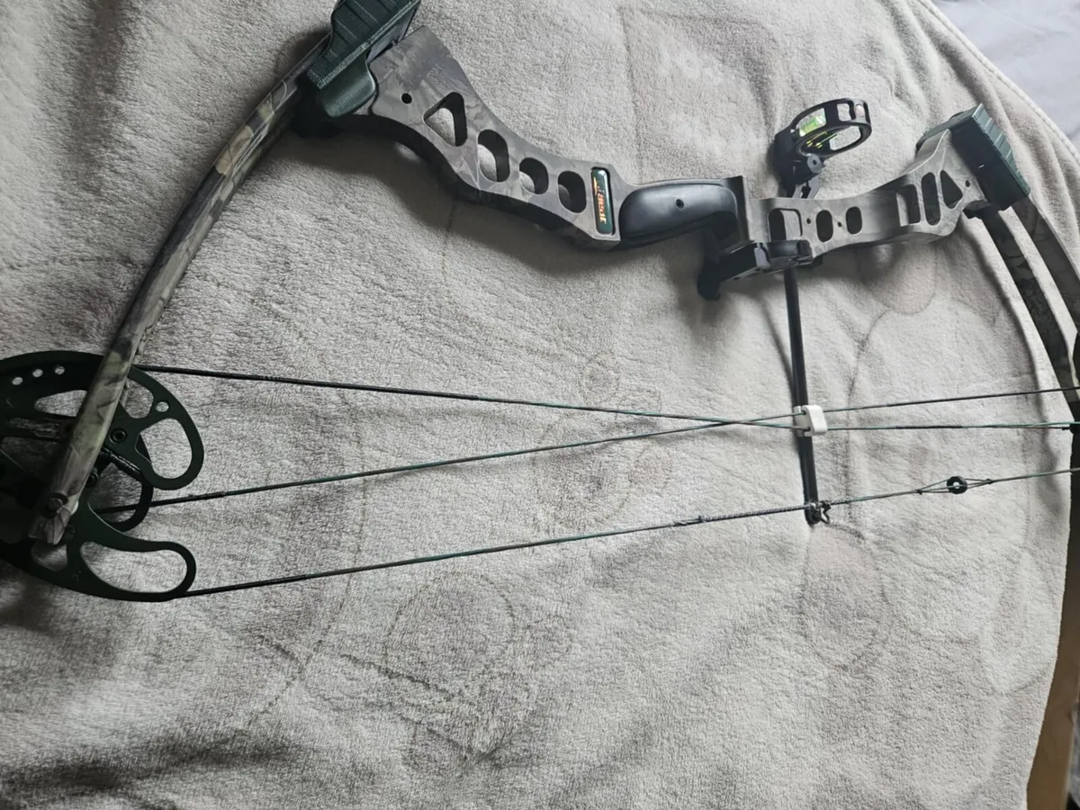 Compound bow Bear 70 lbs - Image 2