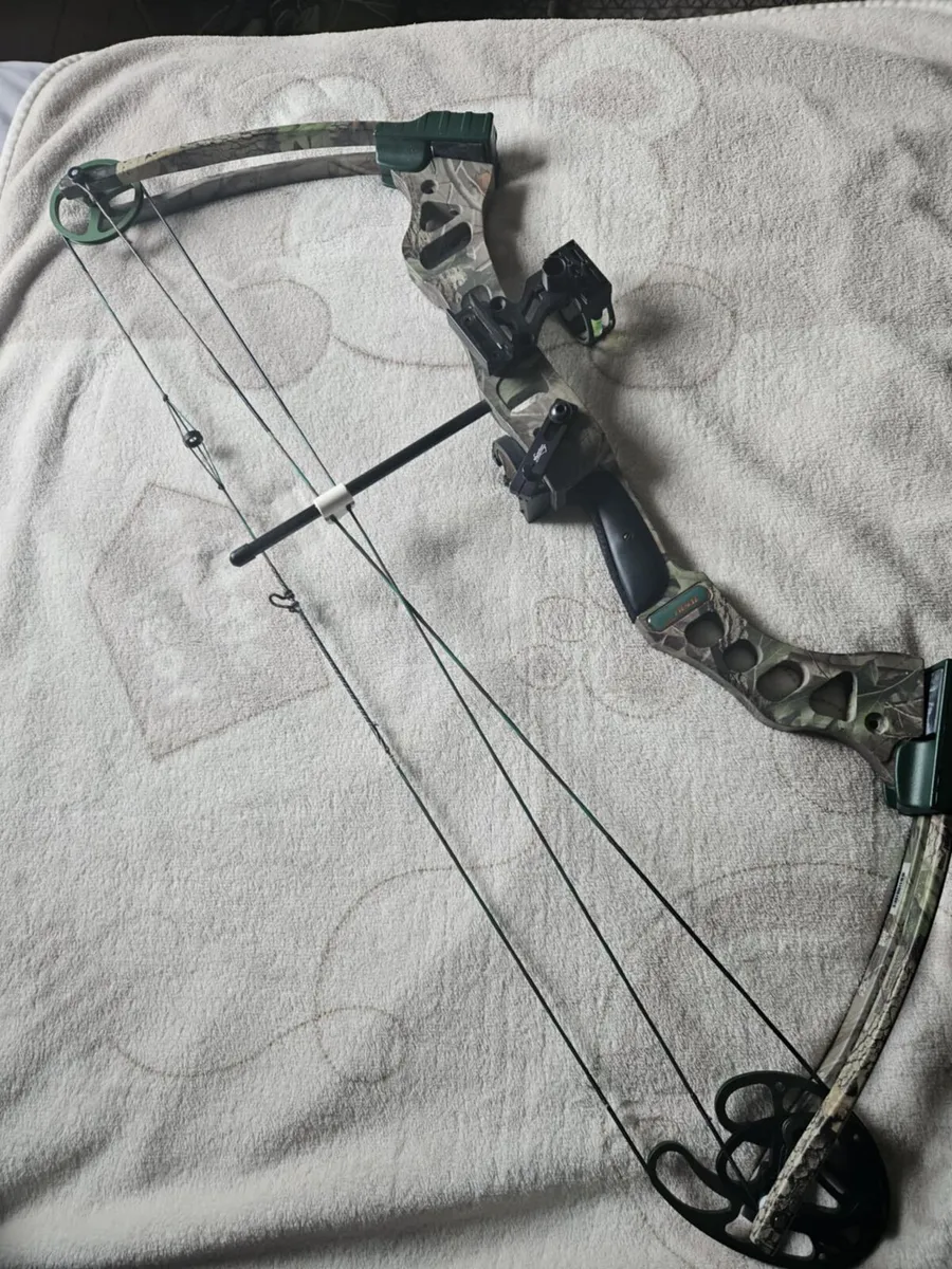 Compound bow Bear 70 lbs - Image 3