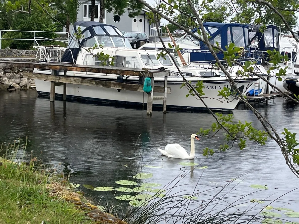 Shannon Boat Sales - Image 1