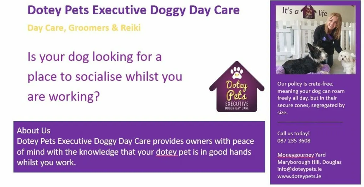 Doggy  DayCare - Image 1