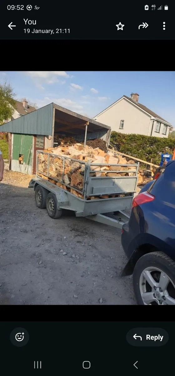 Firewood - Image 2