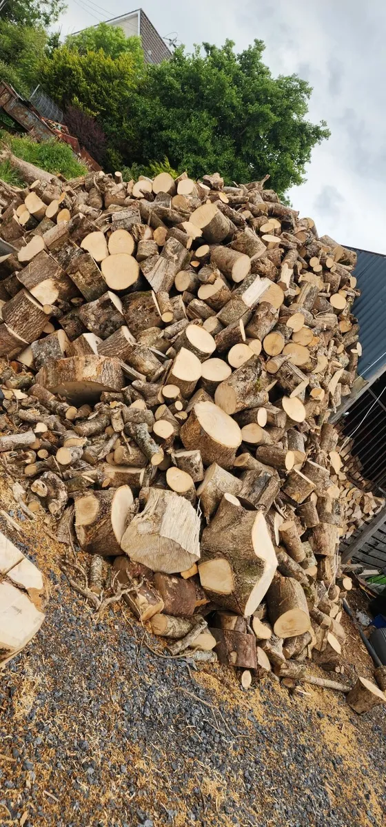 Firewood - Image 3