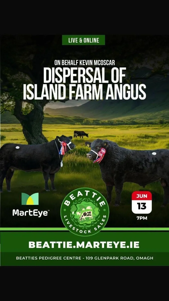 Island farm Angus Dispersal - Image 1