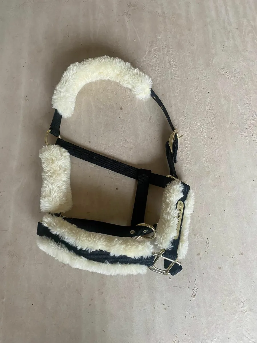 Pony tack - Image 3