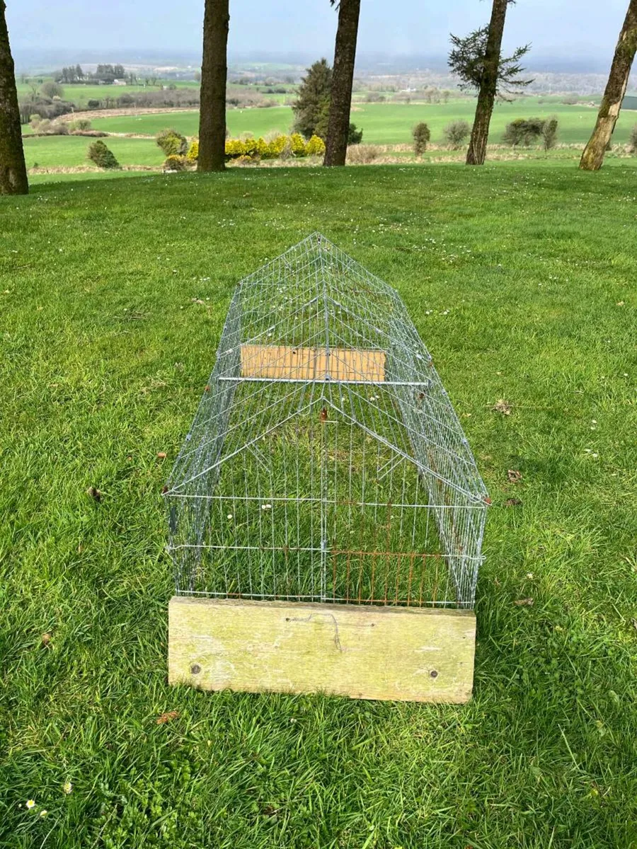 Outdoor run for rabbits - Image 1