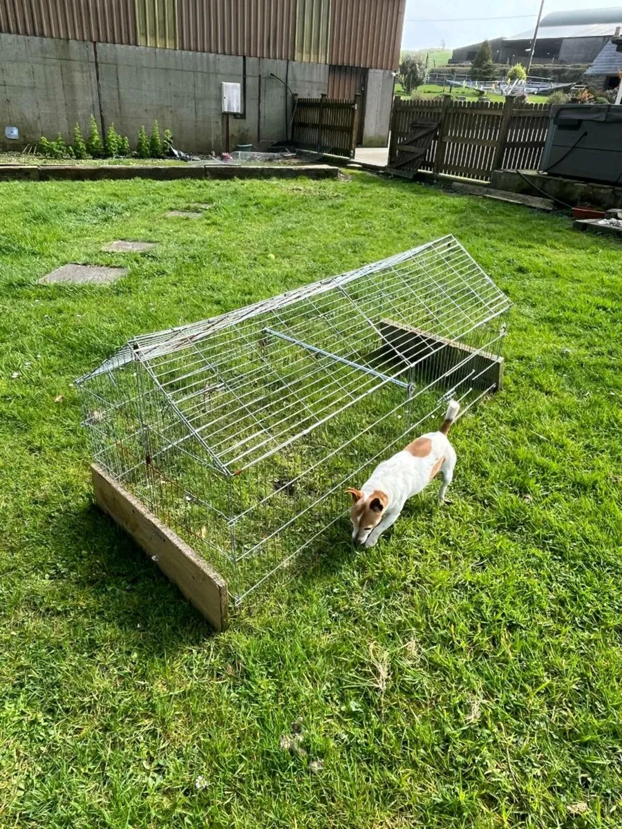 Outdoor run for rabbits - Image 2