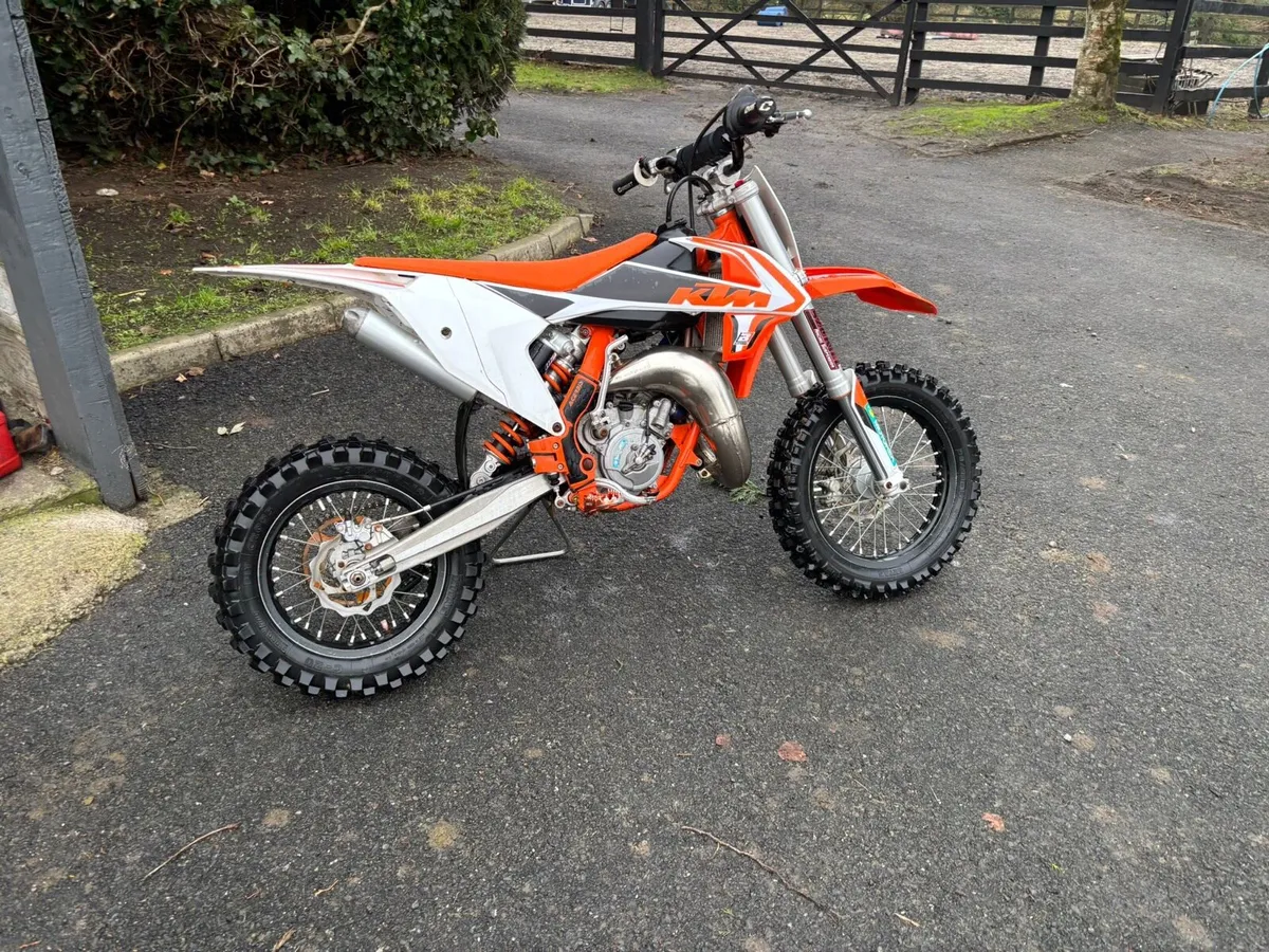2018 Ktm 65 & Quadzilla Pro Shark 100cc 2t - Image 1