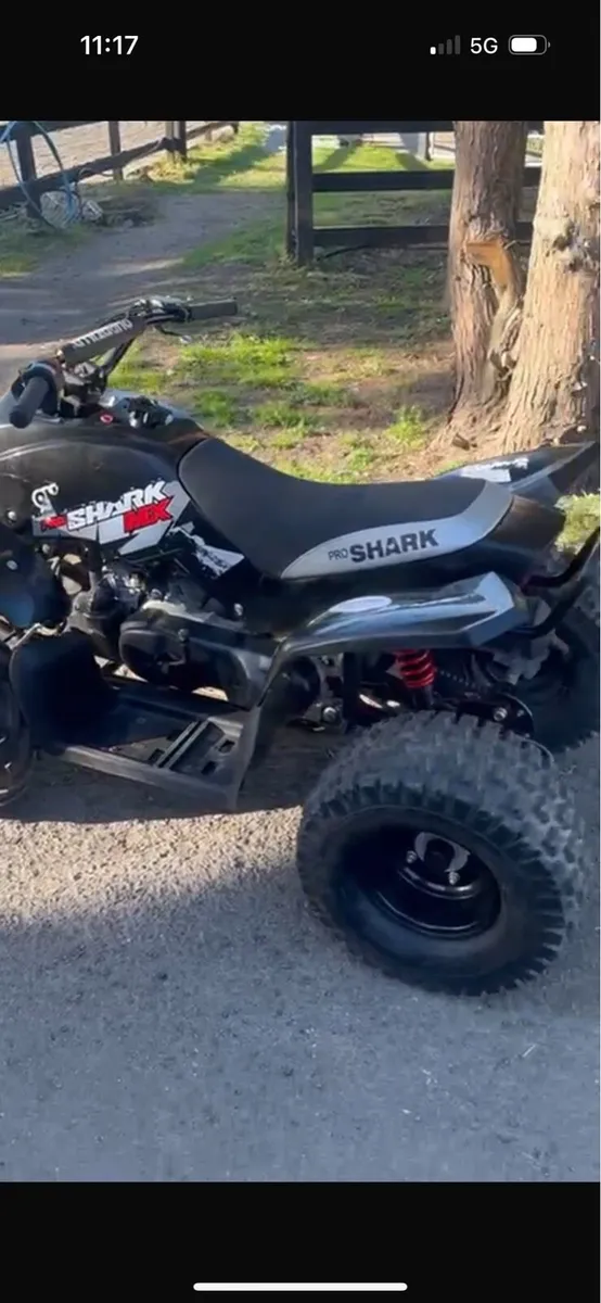2018 Ktm 65 & Quadzilla Pro Shark 100cc 2t - Image 3