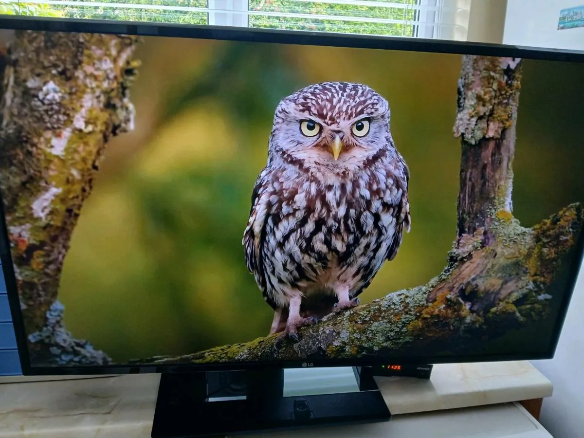 Lg 43 inch Smart hdmi 4k tv. - Image 1