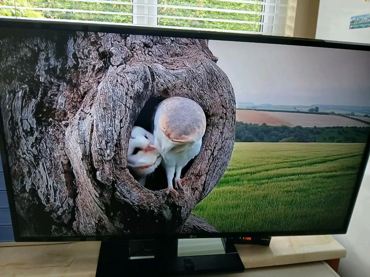 Lg 43 inch Smart hdmi 4k tv. - Image 2