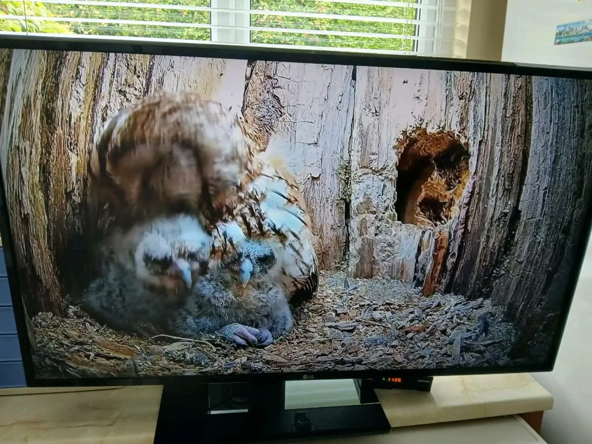 Lg 43 inch Smart hdmi 4k tv. - Image 4