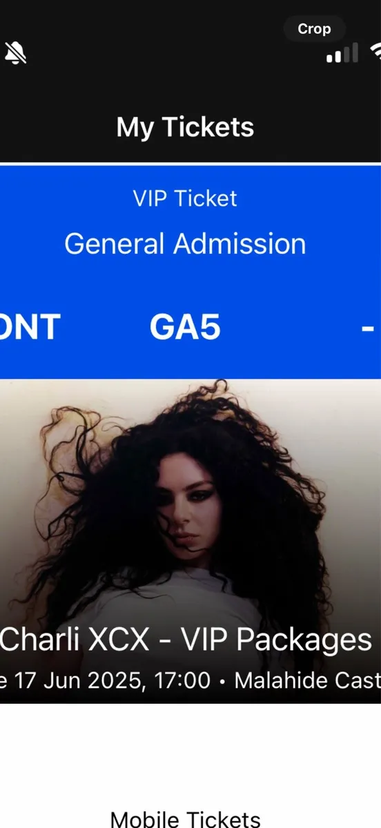 Charlie XCX VIP Package tickets Malahide Castle