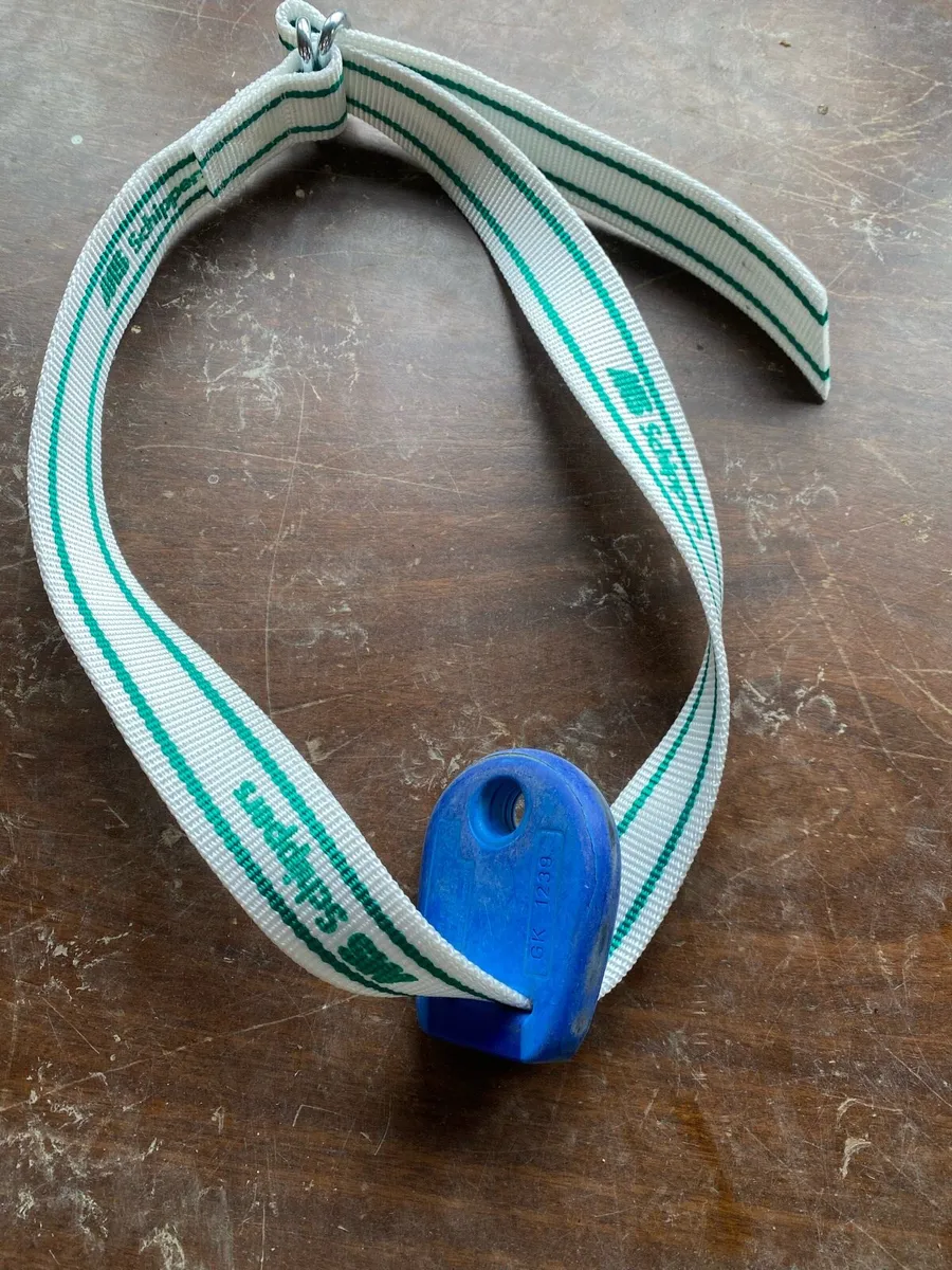 Transponders with new collars - Image 2