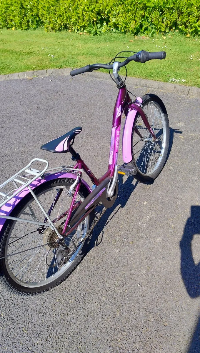 Bicycle - Image 1