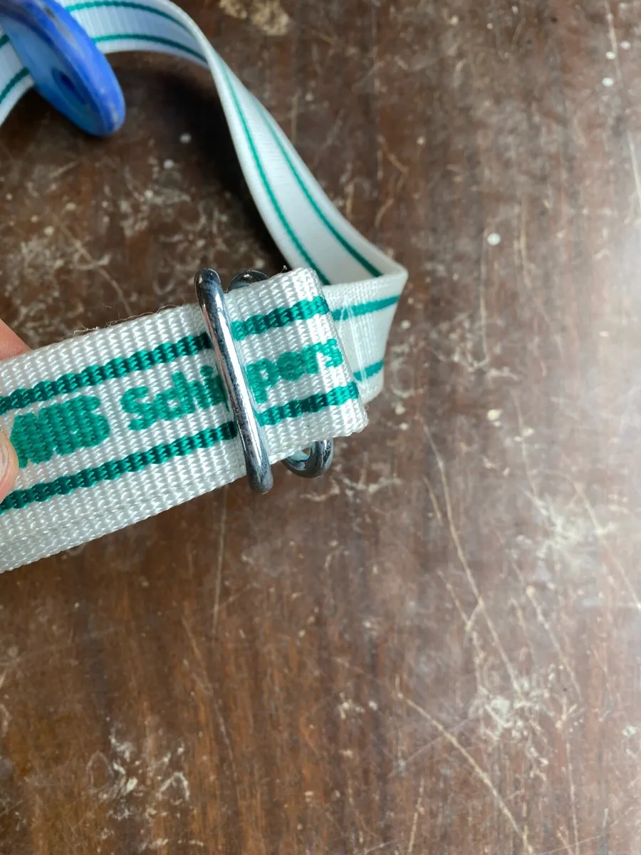 Transponders with new collars - Image 4
