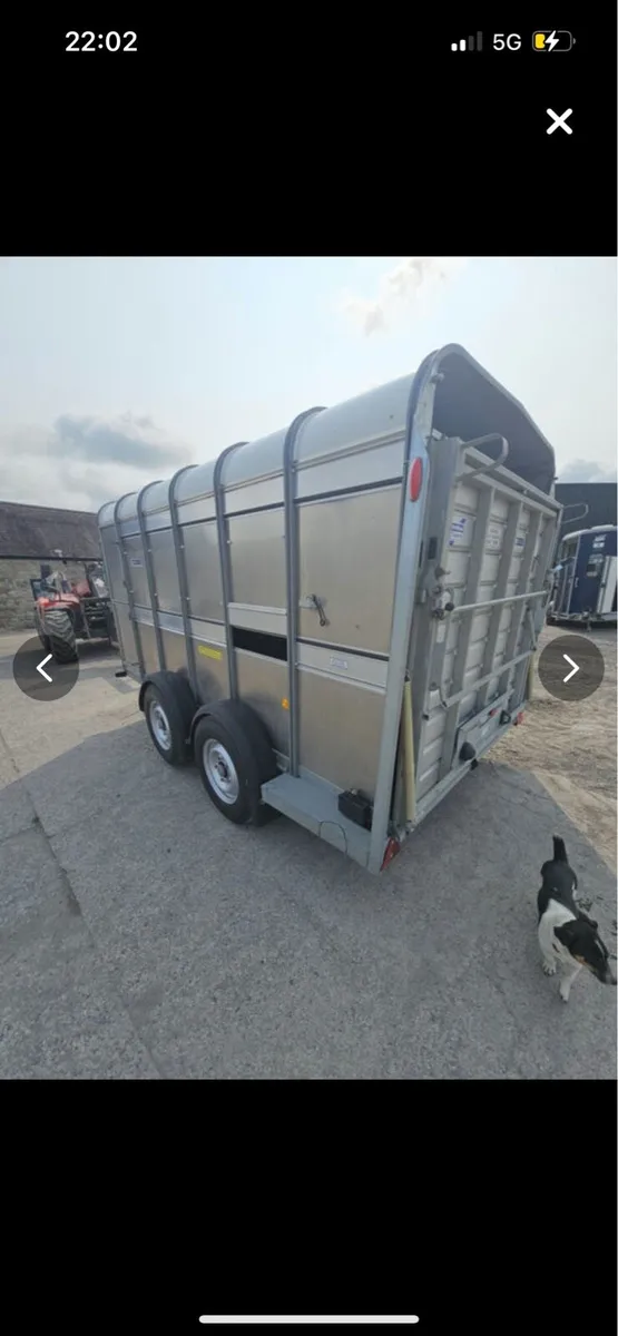 Ifor Williams 12x6 sheep decks ⭐️⭐️⭐️ - Image 4