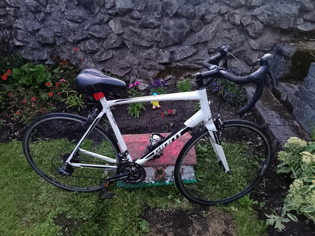 Giant Contend - Road Bike - Image 2