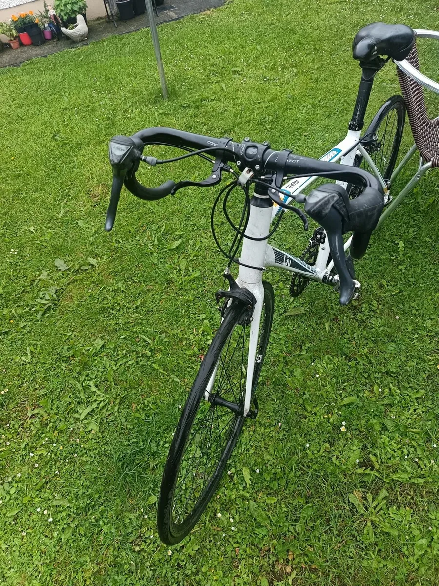 Liv Avail - Road Bike - Image 4