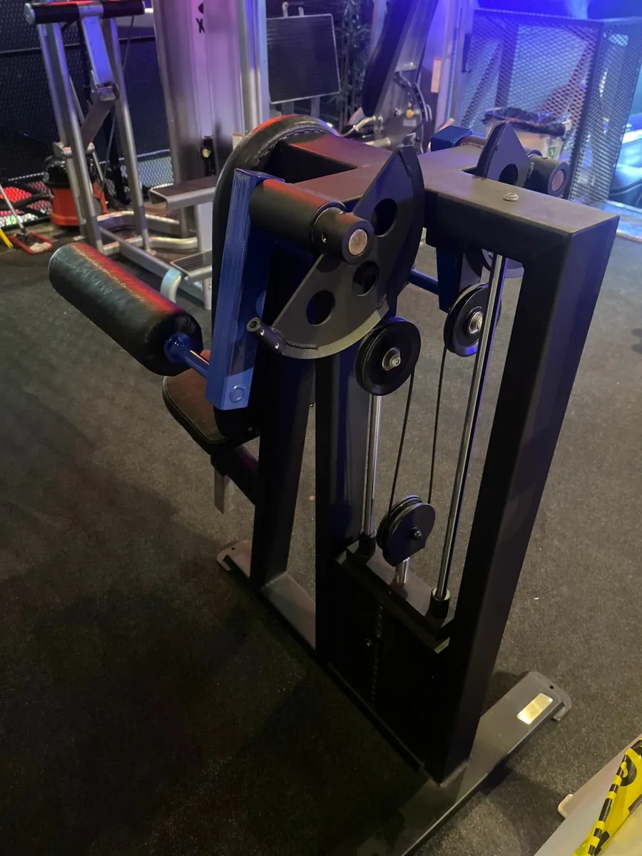 Watson Seated Lateral Raise - Image 2