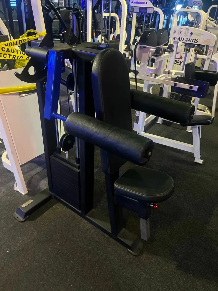 Watson Seated Lateral Raise - Image 1