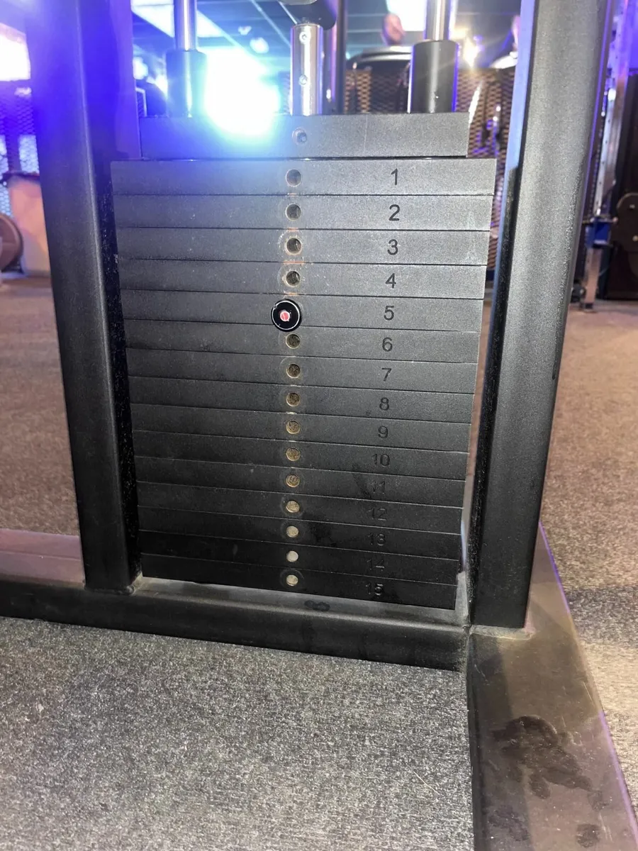 Watson Seated Lateral Raise - Image 4