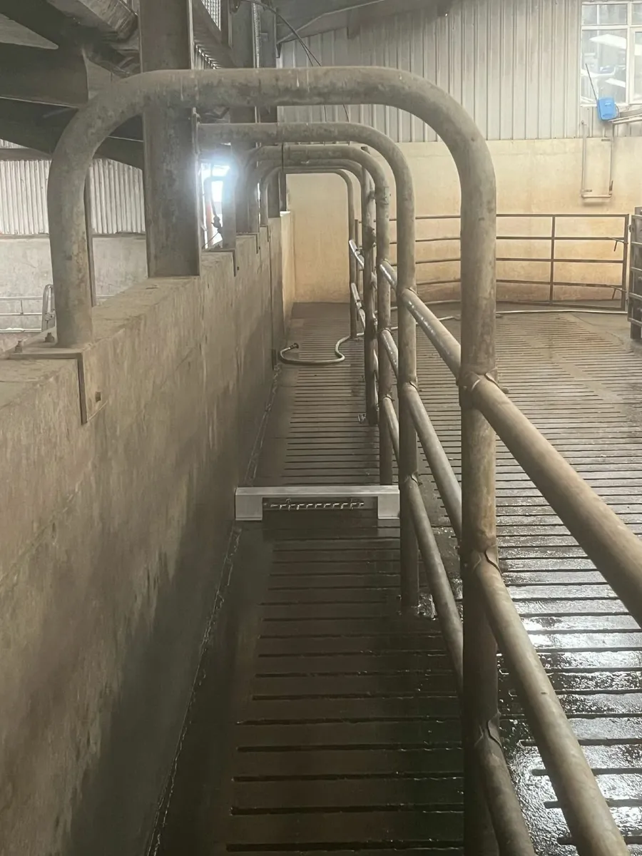 HoPh - Fully Auto Hoof Treatment - Image 4