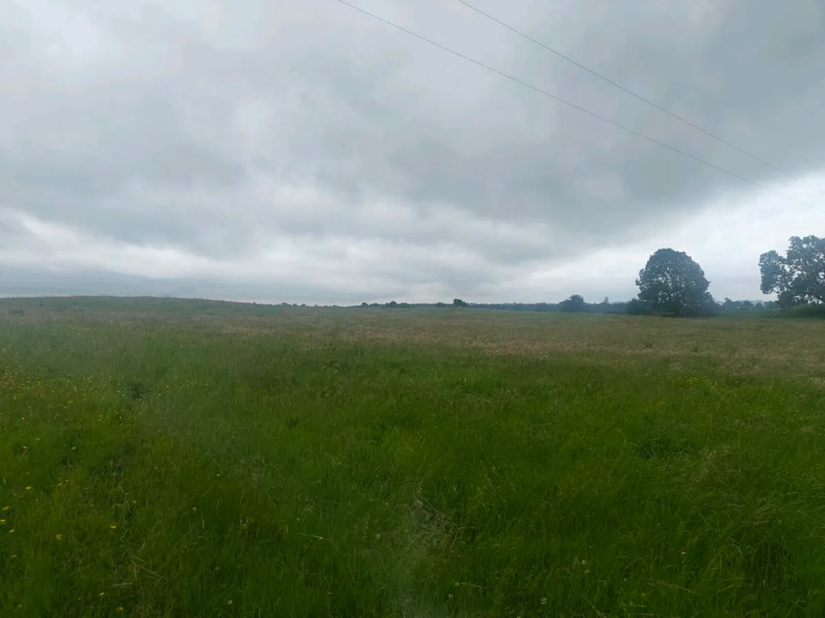 Meadow - Image 1